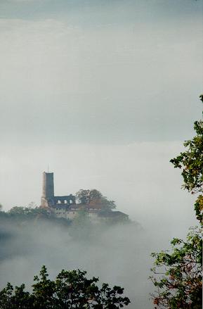 Der Blick aus unseren B�ror�umen auf die Strahlenburg in Schriesheim / Badische Bergstrasse.                             Ein Click �ffnet die Website von Schriesheim.
